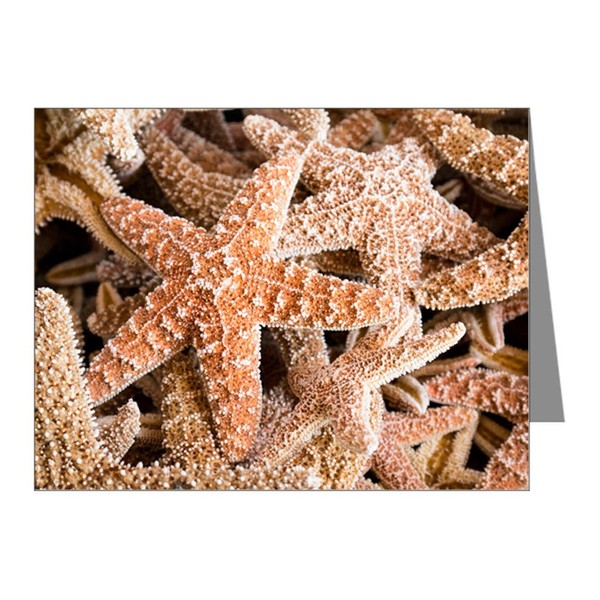Truly Teague Note Cards (10 Pack) Collection Of Starfish