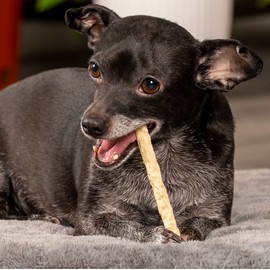 Pet Factory American Beefhide 5" Munch Mini Rolls Dog Chew Treats - Natural Flavor, 40 Count/1 Pack