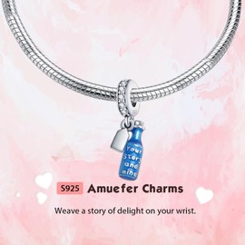 Amuefer St Patrick's Day Charms for Bracelets 925 Sterling Silver Rose Gold Pink Family Paw Print Guardian Heart Love Dangle Pendant for Necklaces for Women Girls, Silver, Cubic Zirconia