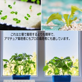 BaraRose Hydroponics Sponges, Set of 100, 9.8 x 9.8 inches (25 x 25 cm), Planting Sponges, Containers, Growing Sponges, Gardening Supplies, Breathable, No Soil, Square Seedling Sponge