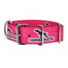 Canine Athletes 2" 4-Ply Pink Nylon Heavy Duty Dog Collar