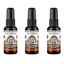 BluntPower Concentrated Odor Eliminator and Diffuser Oil - Room Deodorizer, Odor Eliminator, and Smoke Eliminator Spray - Premium Oil Based Air Freshener & Odor Eliminator Spray - (Grey Vetiver, 1 Pack)