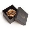 Infinity Rose Preserved Rose Box I Love You Gift for