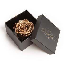 Infinity Rose Preserved Rose Box I Love You Gift for Women, black-gold