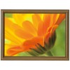 Kokuyo, Picture Frame