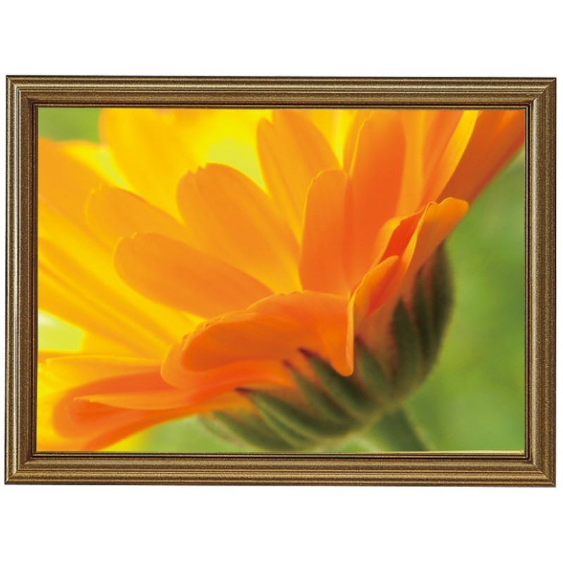 Kokuyo, Picture Frame