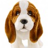 Carl Dick Basset Hund stehend 32cm Plüschtier, Stofftier, Kuscheltier 3622