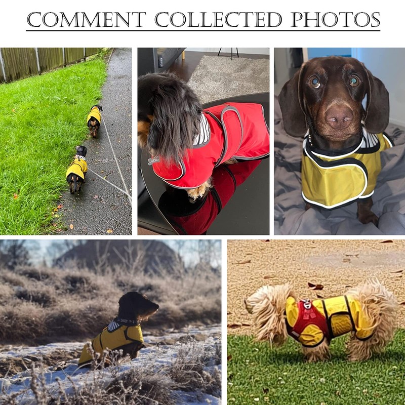 Dog Jacket Adjustable Lightweight Dachshund Raincoat with Reflective Straps and