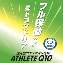 Athlete Q10 30 Grain Bag