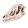 Resin Dinosaur Skull Model Simulated Animal Skeleton Home Office Decor