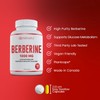 NEW Premium Grade Berberine HCl >97% Max Potency Canadian-Made (500