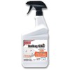 Revenge Bedbug Killer, 32 oz Ready-to-Use Spray, Long Lasting Odorless