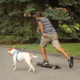 Pawtitas 6FT Training Dog Leash Durable Medium Rope Leash for Dogs Premium Quality Heavy Duty Rope Lead Strong and Comfortable - Blue Puppy Leash