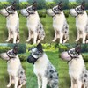 Muzzle for Large Dogs, Prevent Chewing/Eating/Biting Dog Muzzle Breathable Reflective