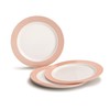 " OCCASIONS" 240 Plates Pack, Disposable Wedding Party Plastic Plates