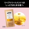 Kao Blaune Lumiest Hair Color Gray Hair Dye 1WB Warm