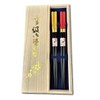 Premium Japanese Chopsticks Reusable 2prs Set [ Made in Japan ] Traditional Lacquer Art Wooden Chopsticks B (Modern Style YE/RD(2KR014))