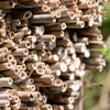 Kisangel Mason Beehive Tubes 100pcs 6" Reed Nesting Refills (0.5-0.8cm