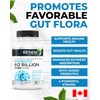 Renew Actives RENEW ACTIVES Probiotic Supplement for Digestive Health 60