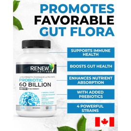 Renew Actives RENEW ACTIVES Probiotic Supplement for Digestive Health 60 Billion CFU per 2 Capsules - Advanced Formula with Prebiotic Benefits - Supports Gut Flora Balance & Wellness - Made in Canada - 60 Capsules (2pk)