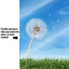 Ambiance Gallery Clip Frame Modern Low Profile Invisible Minimalist Picture