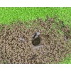 AntHouse Natural Sand Ant Farm Acrylic T Kit 15 x
