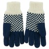 Fancy Snowflake Design Gloves - Blue OSFM