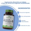 Vidanat Cloruro de Magnesio + Zinc 100 Tabletas – Suplemento