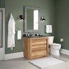 Peerless PA147-BN Precept Toilet Paper Holder, SpotShield Brushed Nickel