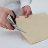 Kokuyo HASA-003 High Quality Scissors for Paper and Crafts, Fine