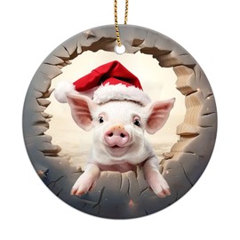 34HD Gifts for Christmas, Pig Christmas Ornament Ceramic 2-Side Printed, Pig for Men Women, Christmas Hanging Decorations