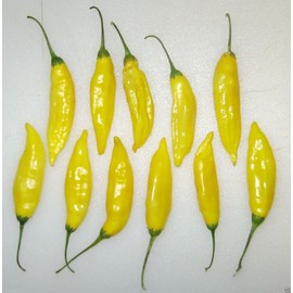 Aji Lemon Drop Peppers Seeds, Distinctive Citrus Flavor, Bright Yellow Color. (10 Seeds)