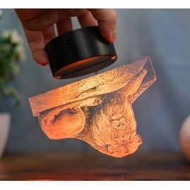 Optechvisual Lion LED Lamp - 3D Table Lamp with Majestic Lion Motif - Colour Changing & Remote Control - Decoration for Living Room, Office & Safari Fans - Gift Idea - Acrylic Made in Germany