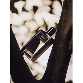 Briony Intense EDP 60ML / 브리오니 인텐스 EDP 60ML