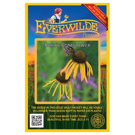 Everwilde Farms - 150 Bush's Coneflower Native Wildflower Seeds - Gold Vault Jumbo Seed Packet