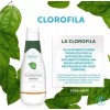 2 Pack Clorofila Líquida Concentrada Para Limpiar El Cuerpo