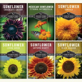 Sunflower Seeds Collection for Planting | 6 Variety Pack – Autumn Beauty, Black Russian, Chocolate Cherry, Sungold, Lemon Queen & Mexican Sunflower – Heirloom Non-GMO – Survival Garden Seeds
