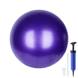 DiiWmme 25cm Pilates Ball,Mini Exercise Ball Small Yoga Ball Gym Ball for Core Training & Physical Therapy,Soft Barre Ball with Pump for Pilates,Yoga,Balance,Workout (Purple)