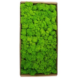 Sunydog Stabilised Moss Decoration, Wall Painting, Real Moss Preserved, No Maintenance Required, Natural Moss for House Walls, Festival for Christmas Decoration, Party