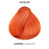 Loreal Excel Hicolor Hilights Copper 1.2oz (3 Pack)