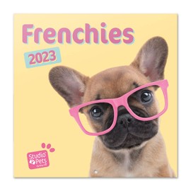 Grupo Erik Wandkalender 2023, Studio Pets Bulldoggen Wandkalender, Kalender zum Aufhängen, Kalender 2023 Wandkalender, Familienkalender 2023, offizielle Lizenz, FSC zertifiziert