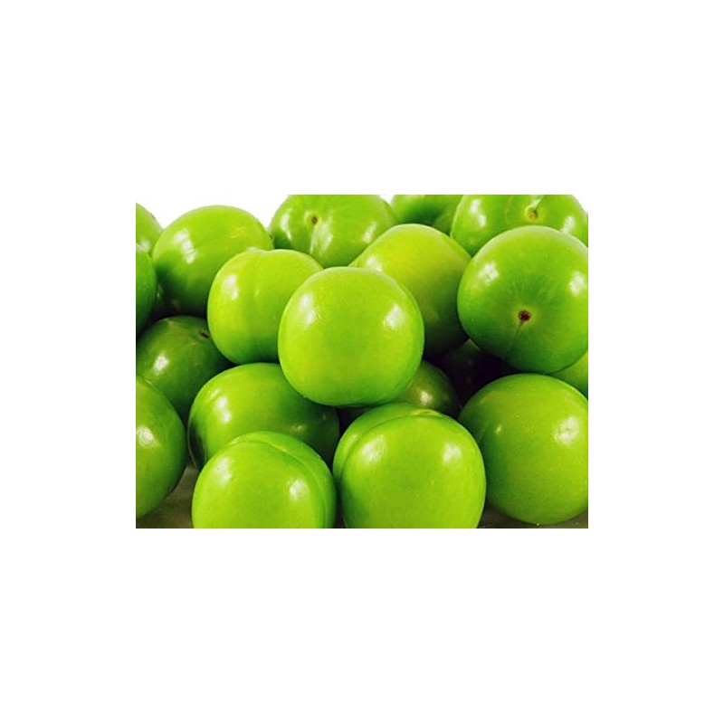 Green Plum (Yeşil Erik)