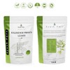Generic 100 Tea Bag Kalanchoe Pinnata Powder Healthy Pure Leaves