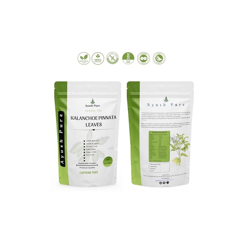 Generic 100 Tea Bag Kalanchoe Pinnata Powder Healthy Pure Leaves