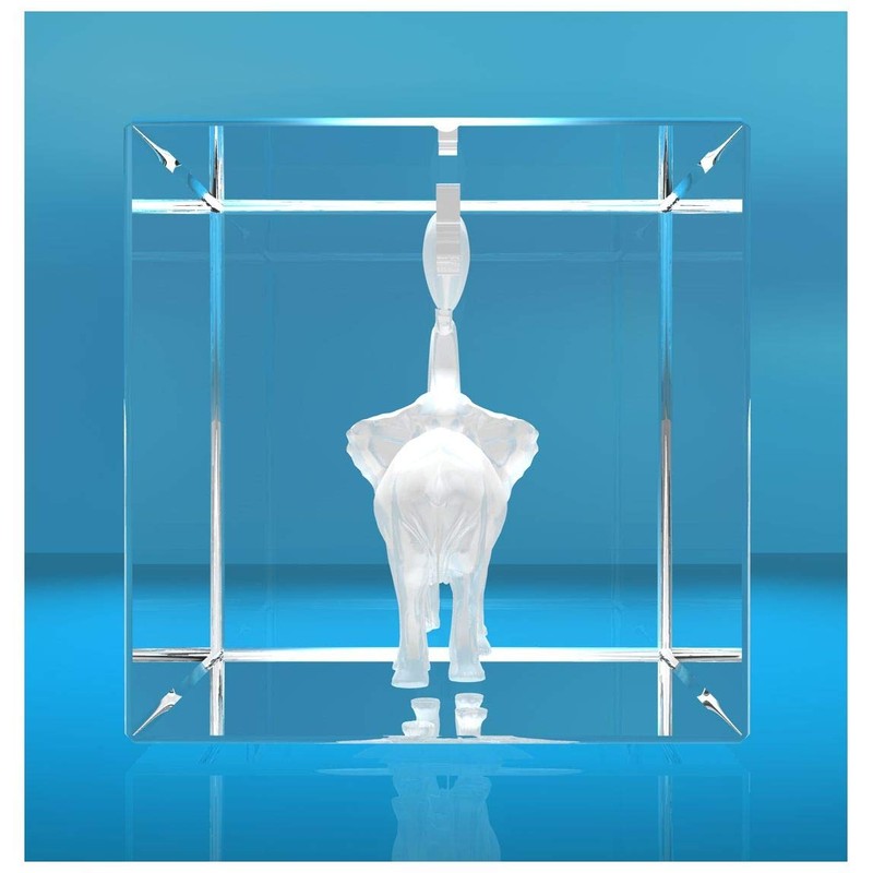 ELUNO 3D Glass Cuboid | Elephants in Love with Heart