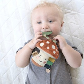 Itzy Ritzy Infant Toy & Teether - Itzy Pal Baby Teething Toy Includes Lovey, Crinkle Sound, Textured Ribbons & Silicone Teether Toy for Newborn (Mushroom)