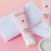 ssisil 씨실 인산가 죽염 데일리 퍼펙트 클렌징 폼 150ml +