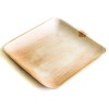 DISPOSABLE GREEN® | 25x25 CM Square Plates | 25 PCS