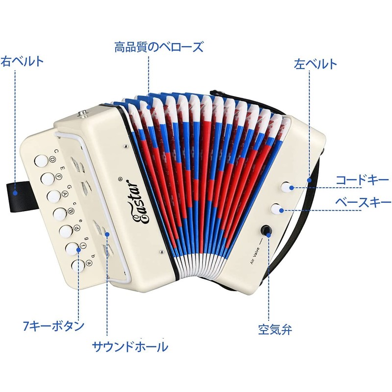 Eastar Piano Accordion 10 Keys Beginner Set, Musical Instrument, White