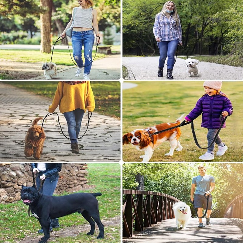 Heavy Duty No Pull Dog Leash for Large Medium Dogs,